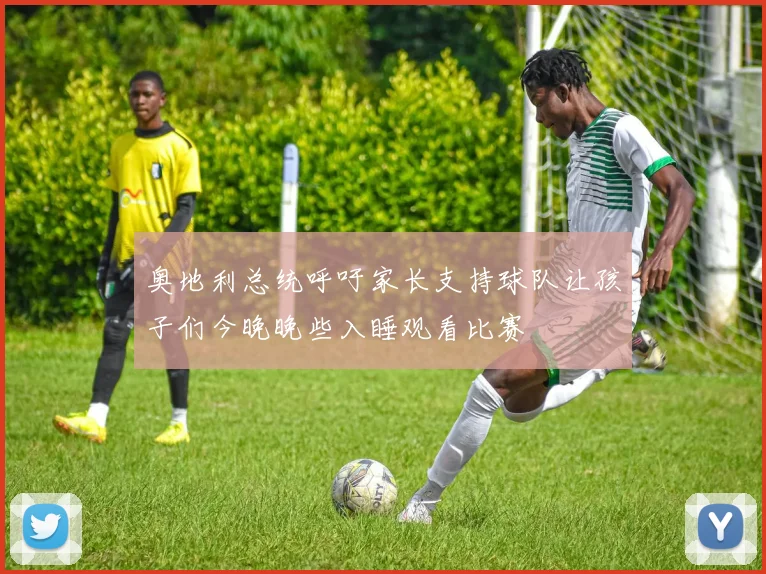 奥地利总统呼吁家长支持球队让孩子们今晚晚些入睡观看比赛