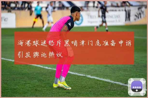 海港球迷怒斥黑哨津门虎准备申诉引发舆论热议